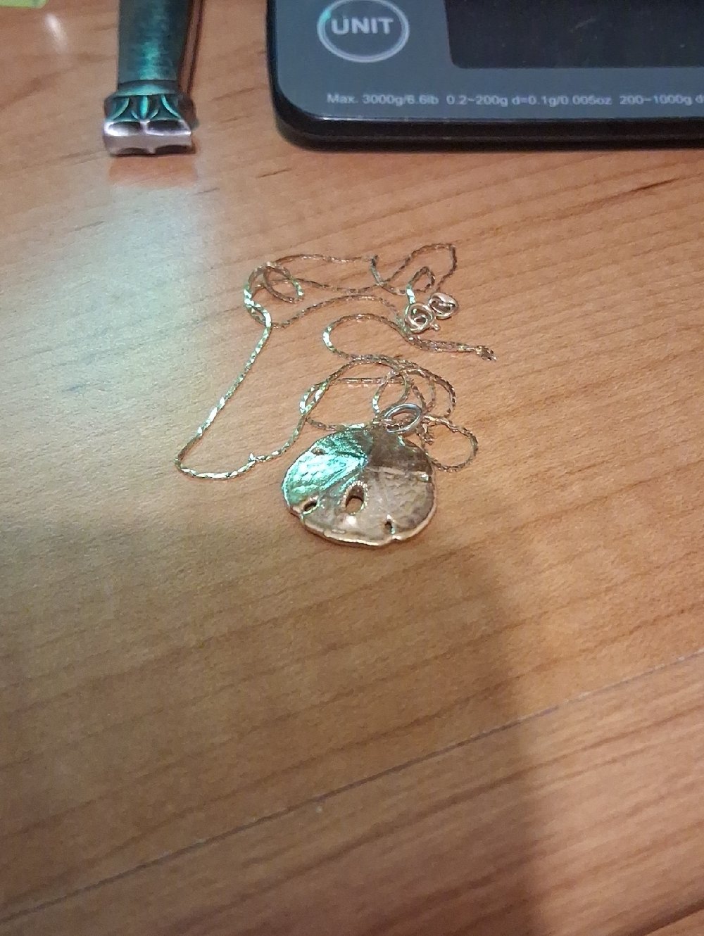 14 Kt Gold Sand Dollar Pendant Necklace - Delicate Chain